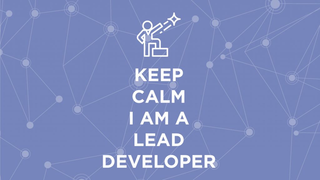 Lead Developer Fiche M tier Offres D Emploi AViSTO